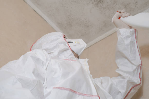 Best Crawl Space Mold Removal  in Indian Hills, CO